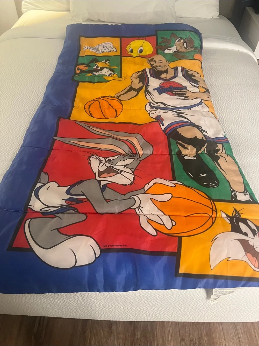 Vintage 90s Space Jam Sleeping Bag‎